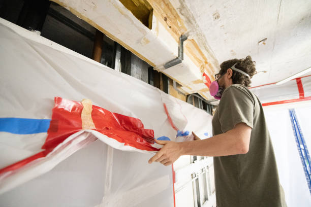 Best Mold Damage Restoration  in Manistee, MI